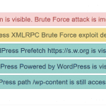 Website Security Check Report