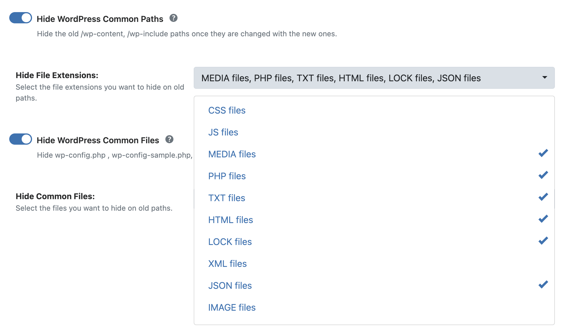 WP Ghost Hide WordPress Common Paths options showing hide wp-content, wp-includes, and login paths