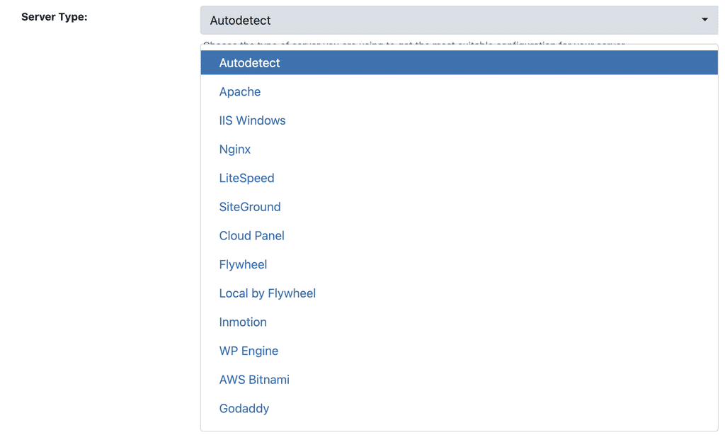 WP Ghost Server Type dropdown showing auto-detected server and manual override options