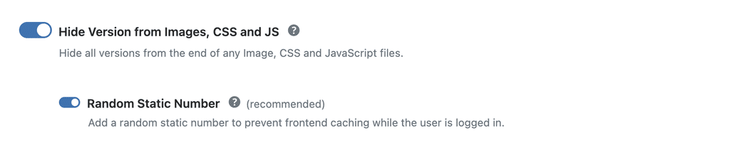 WP Ghost toggle to hide version numbers from CSS, JS, and image files