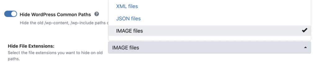 Hide File Extensions dropdown, select IMAGE Files