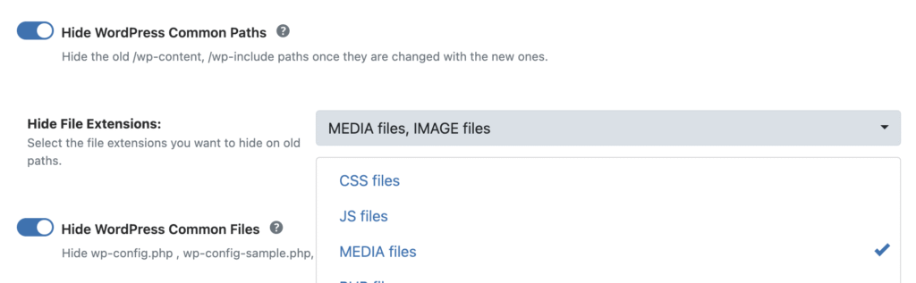 Hide File Extensions dropdown, select MEDIA Files