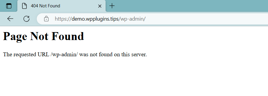 hide wp-admin not found page