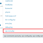 How to Add Files to "Hide WordPress Common Files"